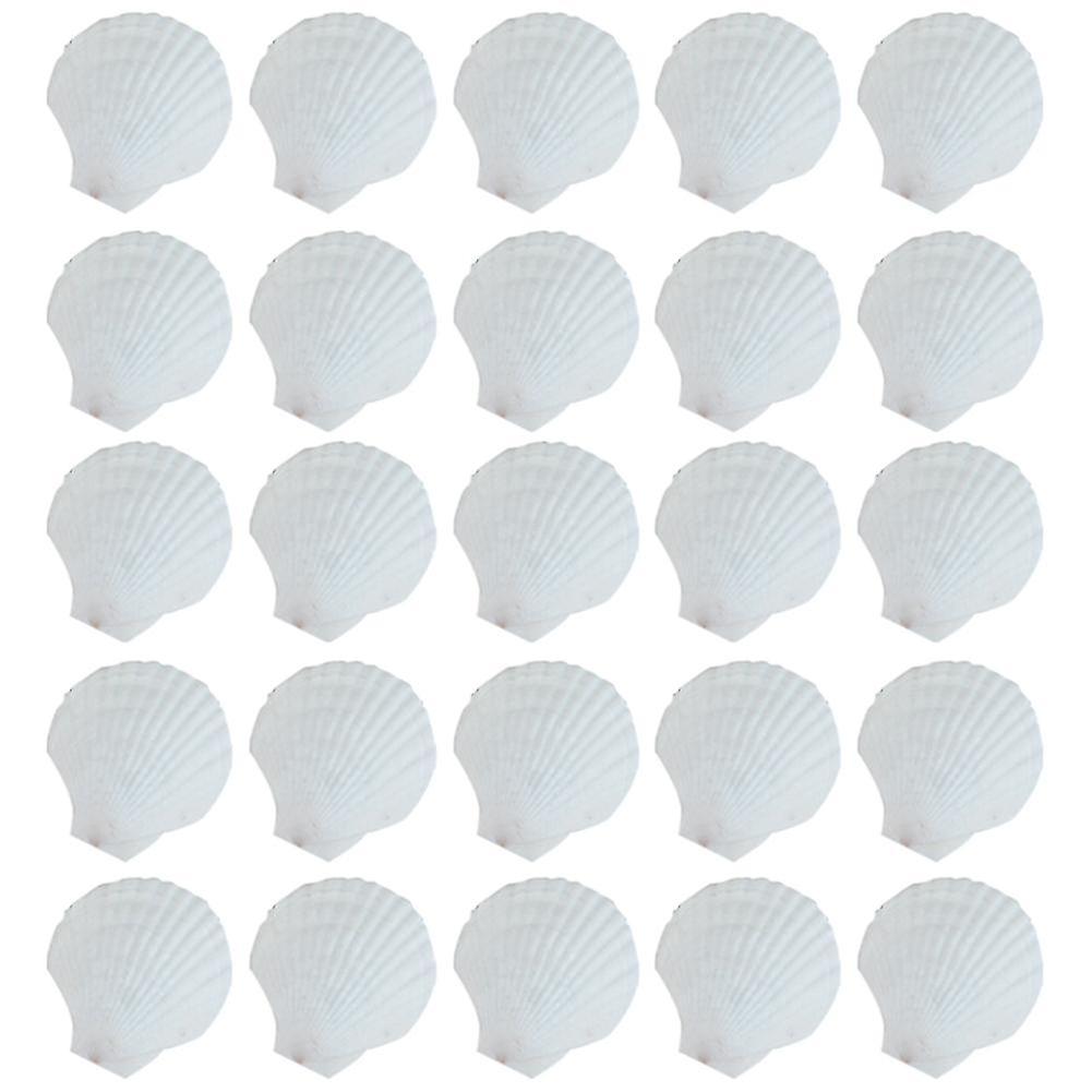 25pcs Natural Scallop Shell, For Handmade Diy Production Handmade Diy Coloring Shell