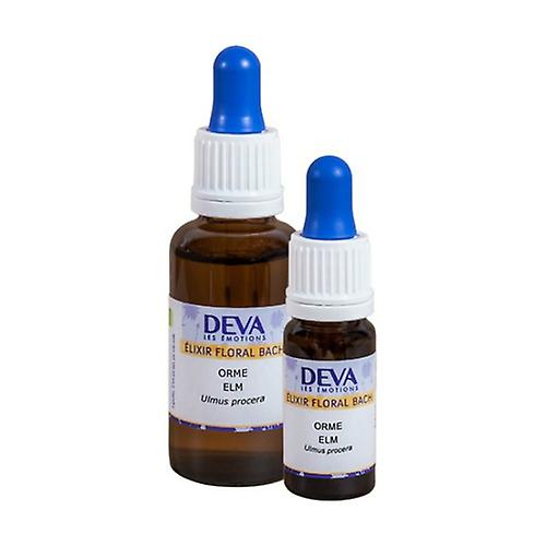 Elm - Dropper 10 ml of floral elixir