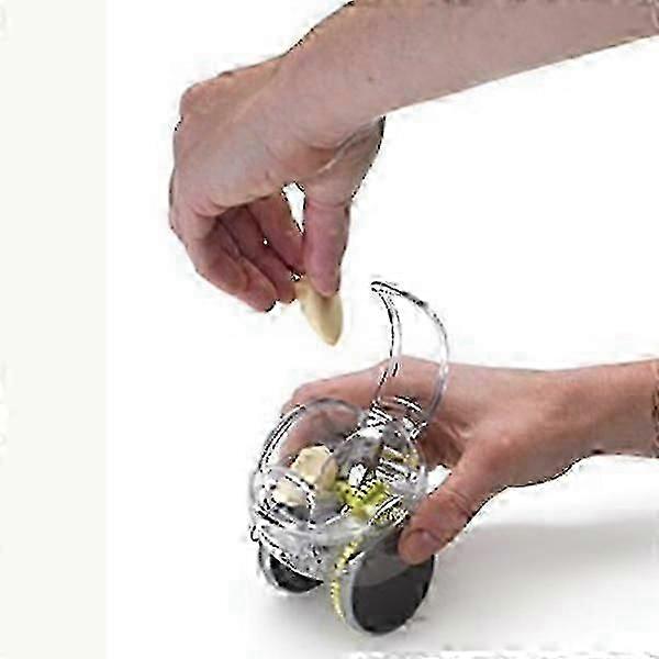 Garlic Chopper (Black)