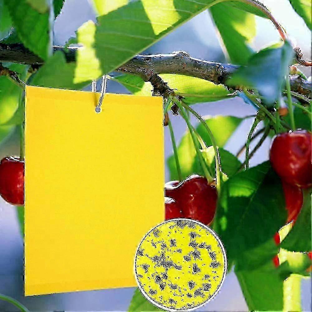 2024 - 100 Pièces Piège à Mouches Double Face Jaune, Pièges Jaunes Double Face Pour Insectes Volants - Serre