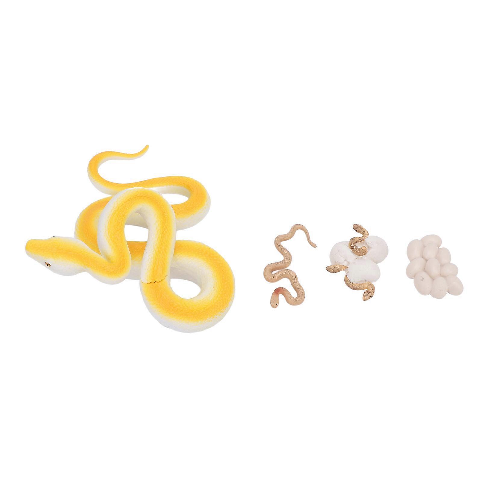 Snake Life Cycle Figurines Toy Set Biological Animal Growth Cycle Model Toy for Learning Education Decoration
