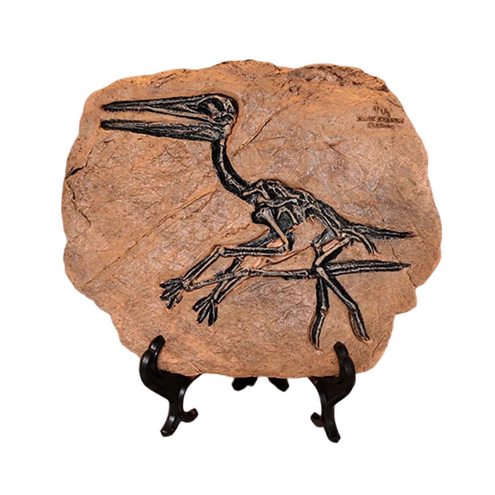 Kreative Dinosaur Fossil Resin Craft Decoration Statue Miniature Ornament for Home Living Room Desktop Display