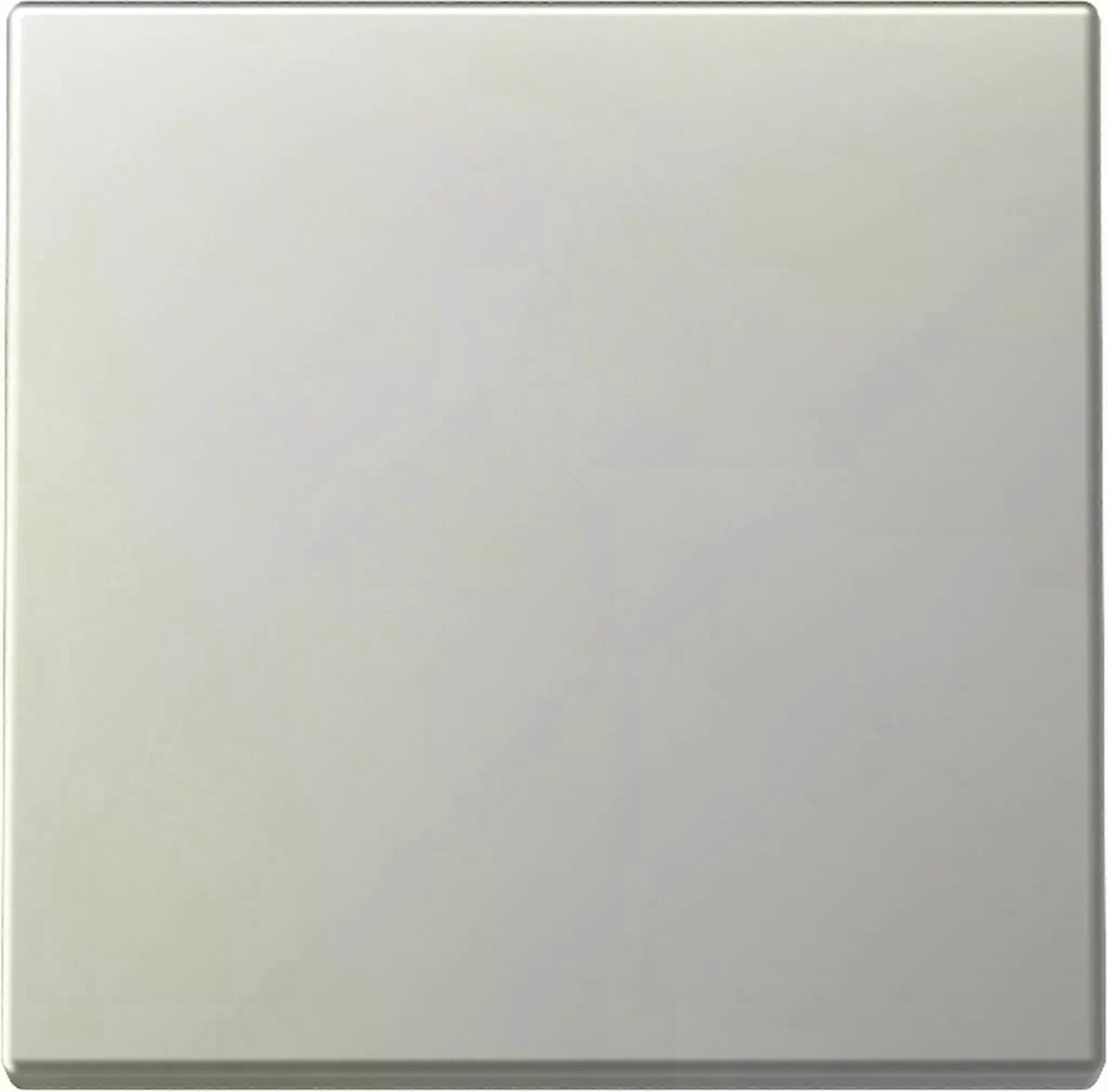 Gira Wippe, System 55, Edelstahl