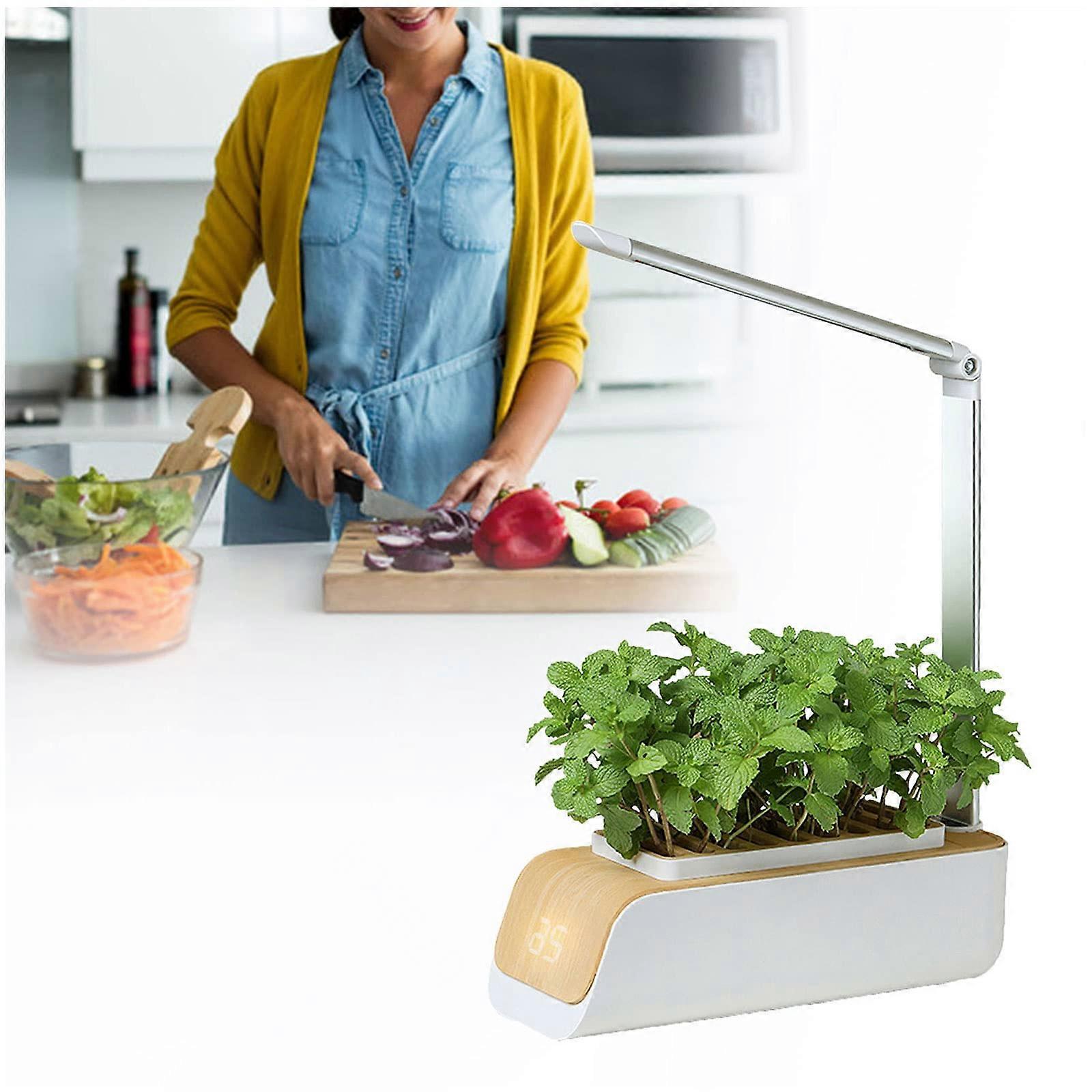 Indoor Hydroponic Grow Kit with Automatic 16H Light Cycle for Small Plants and Herbs