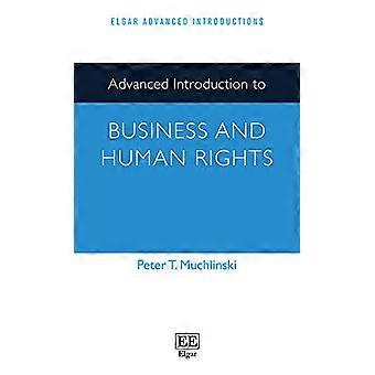 Fortgeschrittene Einführung in Wirtschaft und Menschenrechte (Elgar Advanced Introductions-Reihe)