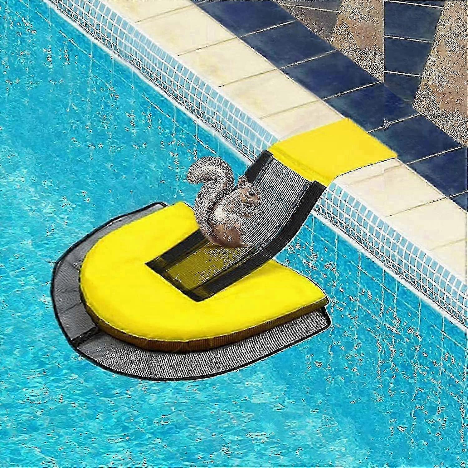 Blå poolramp för smådjur