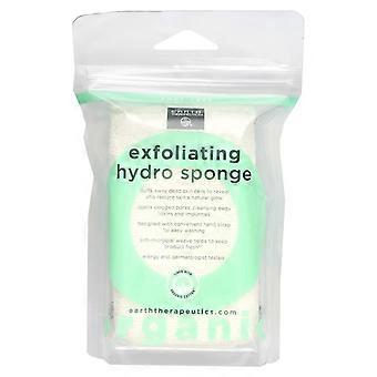 Earth Therapeutics, eksfolierende hydrosvamp, rektangulær, 1 svamp, 2-pakning