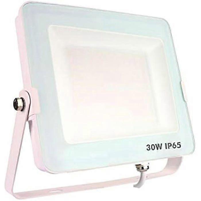 Projector - SILVER ELECTRONICS - Forge+ - 30 W - IP65 - 5700 K - Efficiency A+