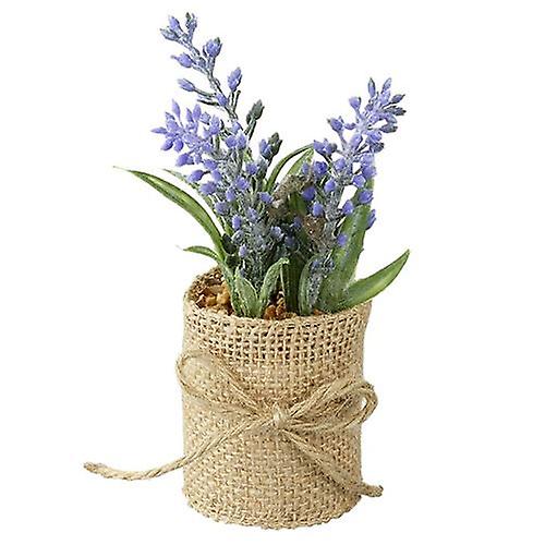 Lavande dans le pot