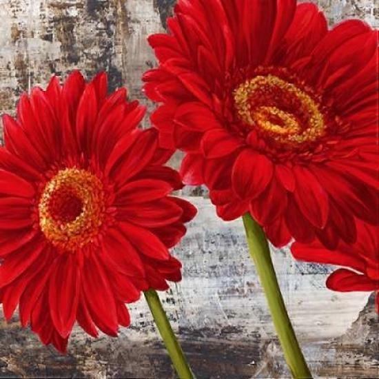 Rote Gerberas I Poster