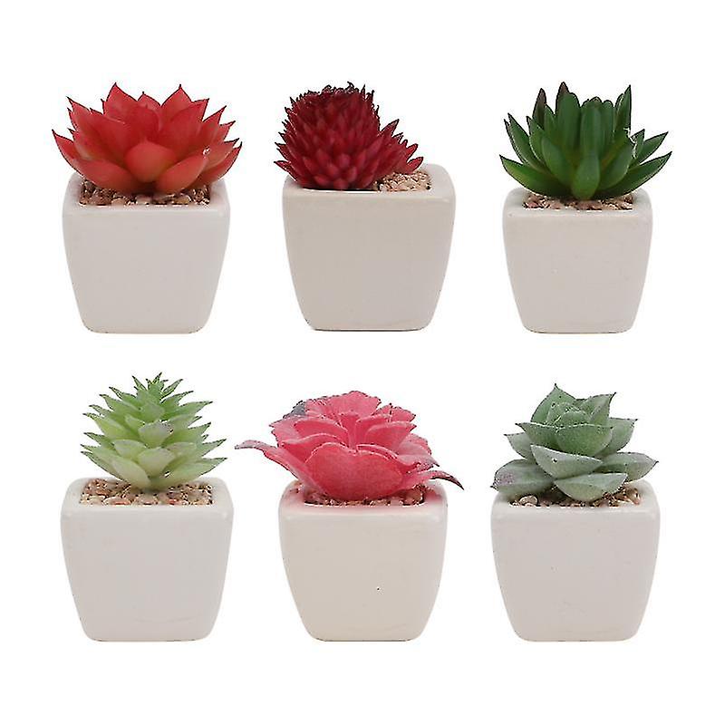 6pcs Succulenta falsa