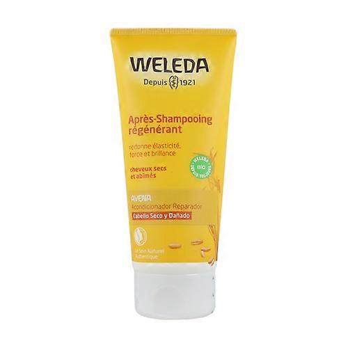 Regenerating Oat Conditioner 200 ml of cream