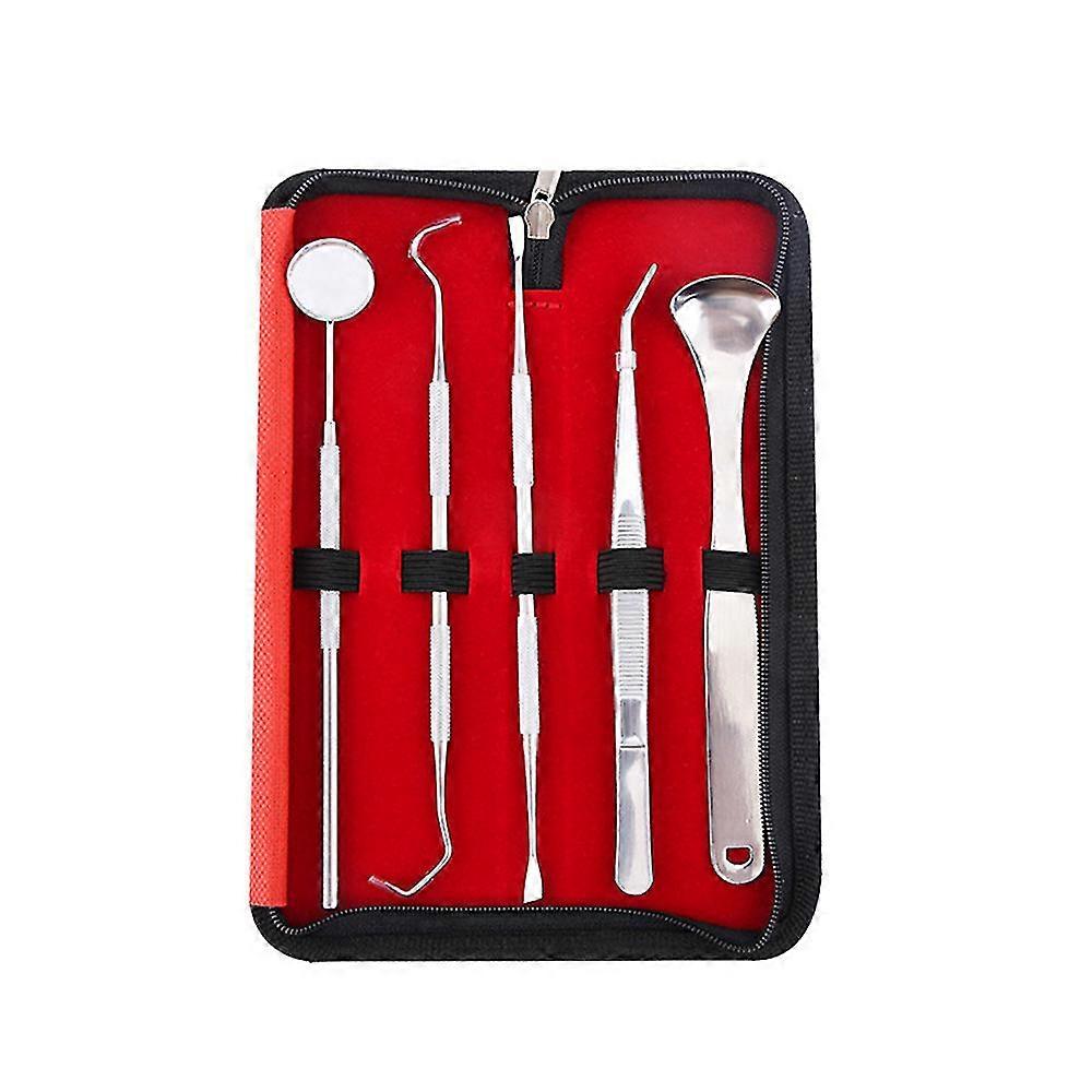 Yeni 5 adet Paslanmaz Çelik Diş Hekimi Diş Pick Probu Diş Temiz Hijyen Aracı Kiti