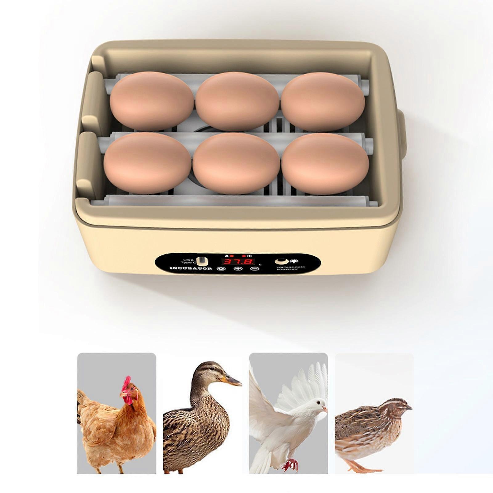6pcs USB fully automatic incubator small incubator incubator chicken duck pigeon quail egg incubator