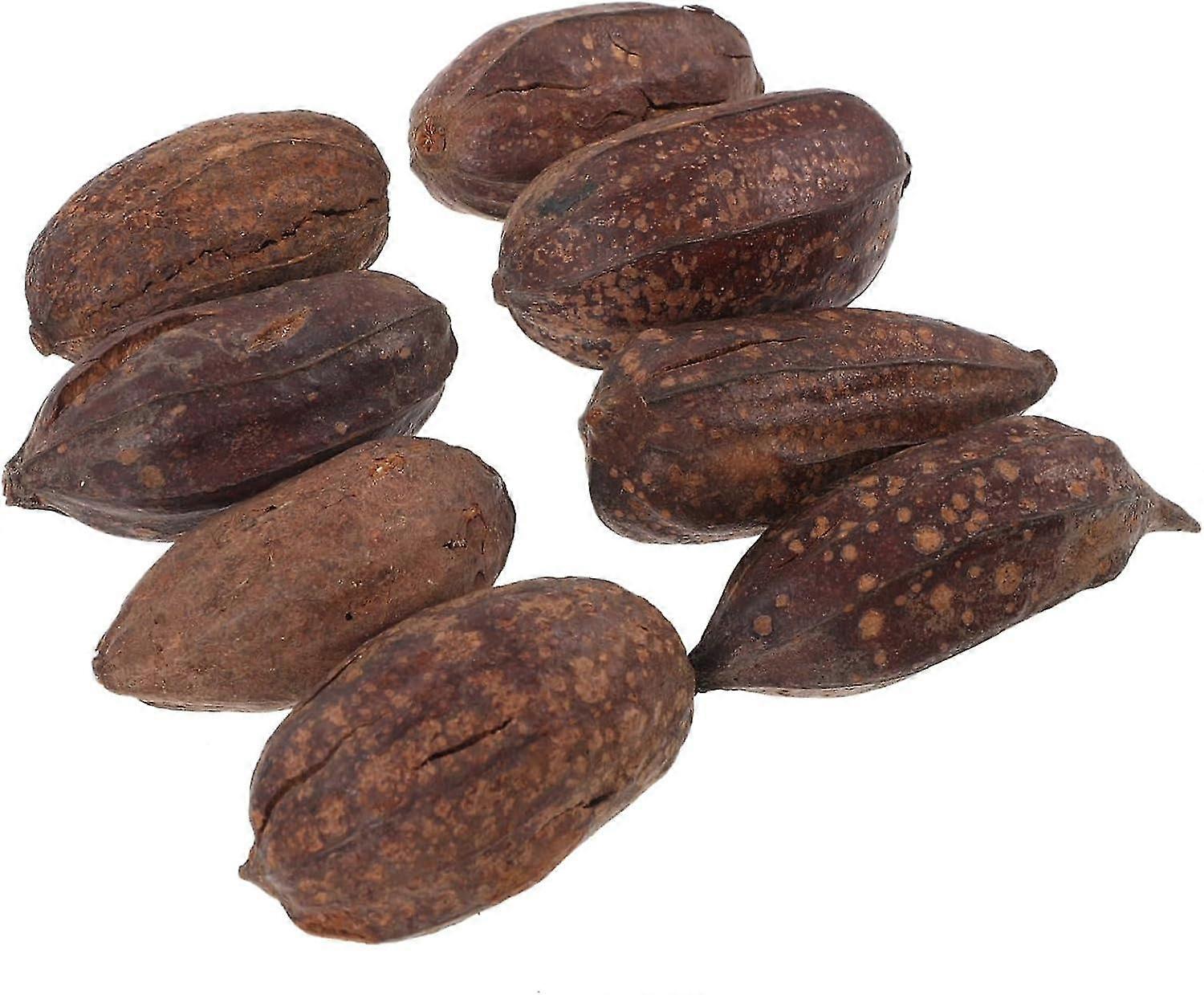 Chewing Fruit Okra Bite - 8pcs Parrot Toy