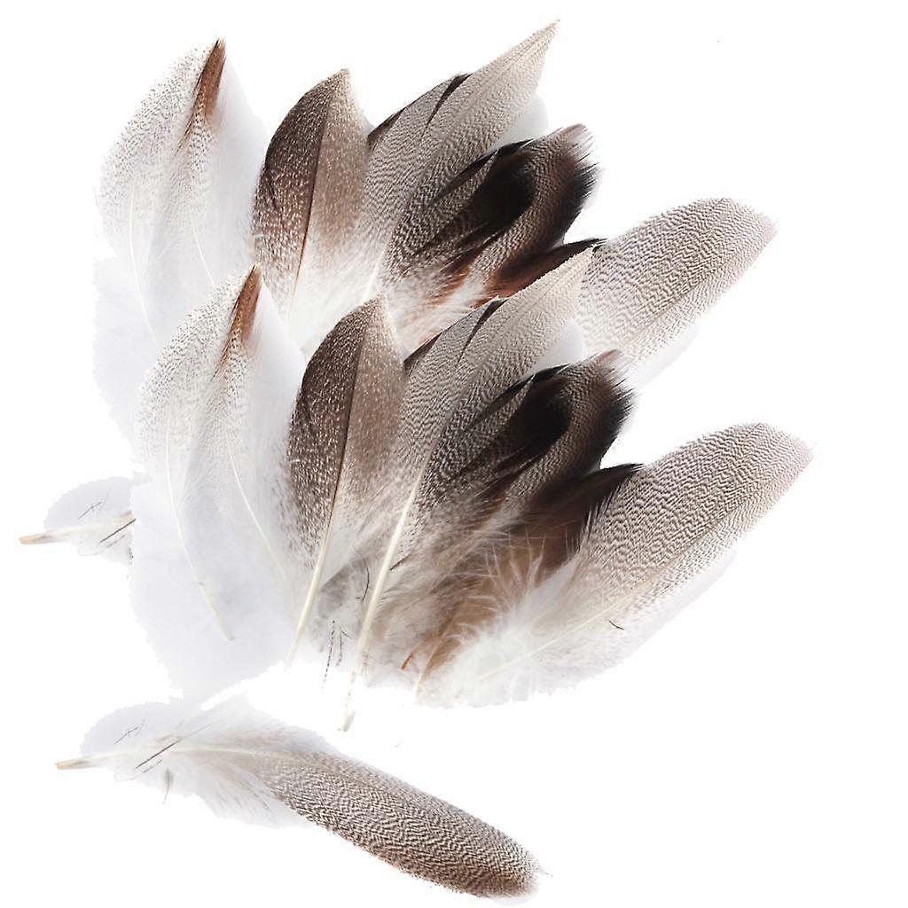 40 Pieces Feathers for Craft Hat 9-13cm