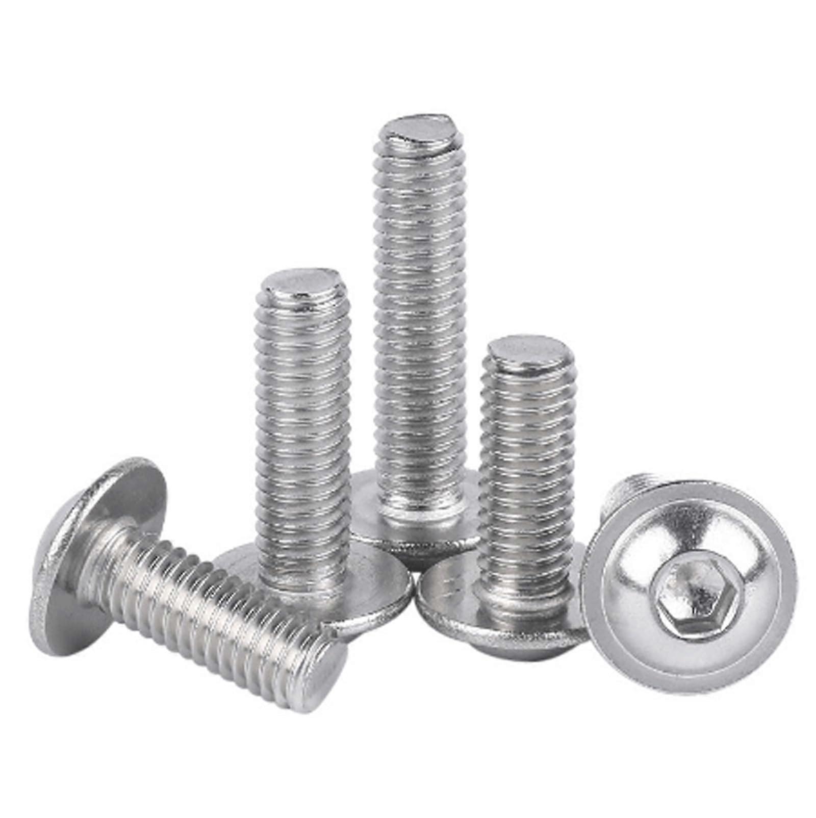 Screw Assortment M10 Stainless Steel Half-Round Head Socket Screws Set Self-Tapping 10 Pieces High-Quality