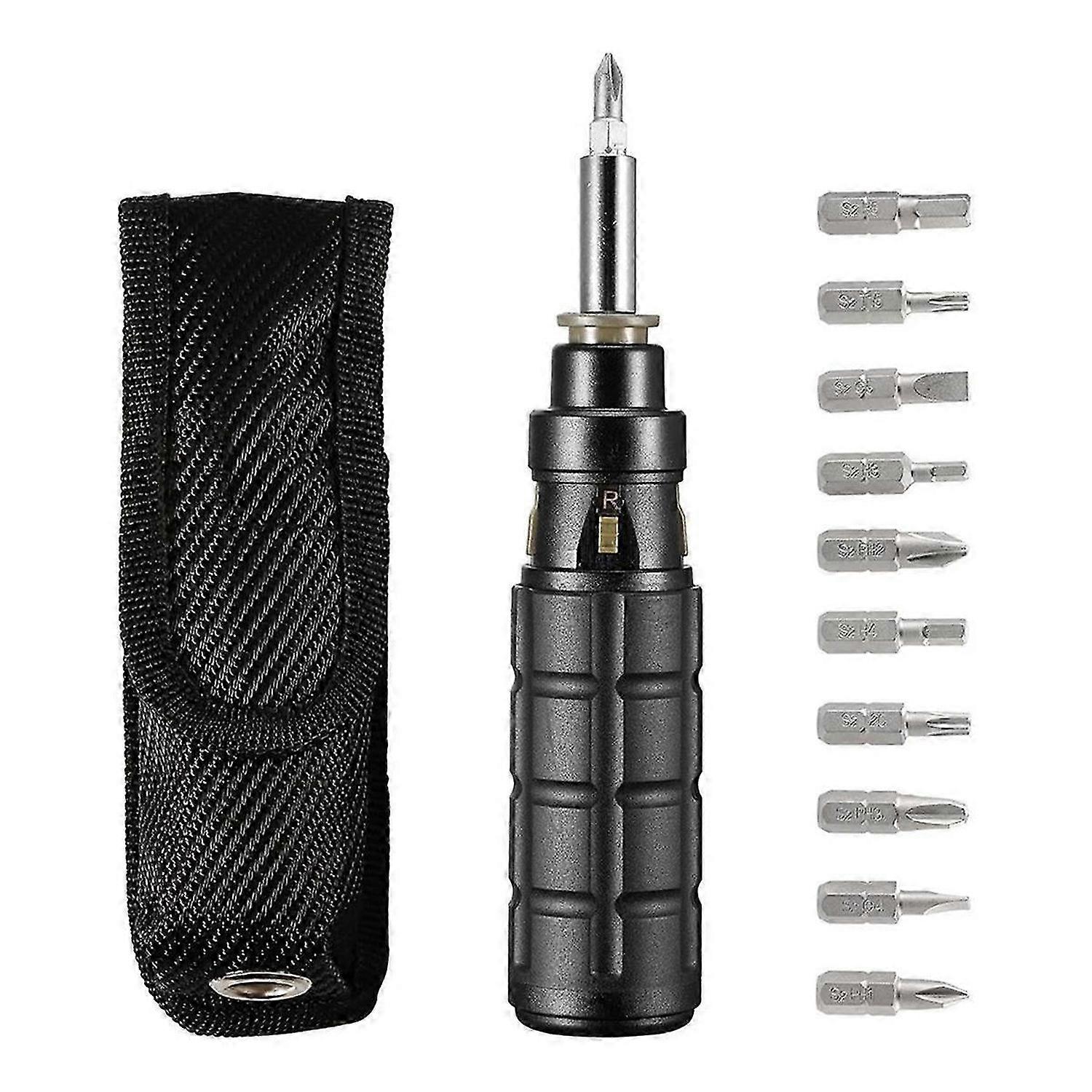 10-In-1 Multibit Ratchet Screwdriver, with /Slotted/Torx/Hex Bits and 1/4-Inch Nut Driver,with Belt Pouch