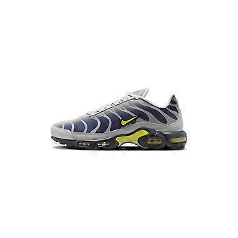 Shoes Nike Air Max Plus FZ4622001