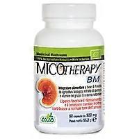 Micotherapy Bm 60 capsules