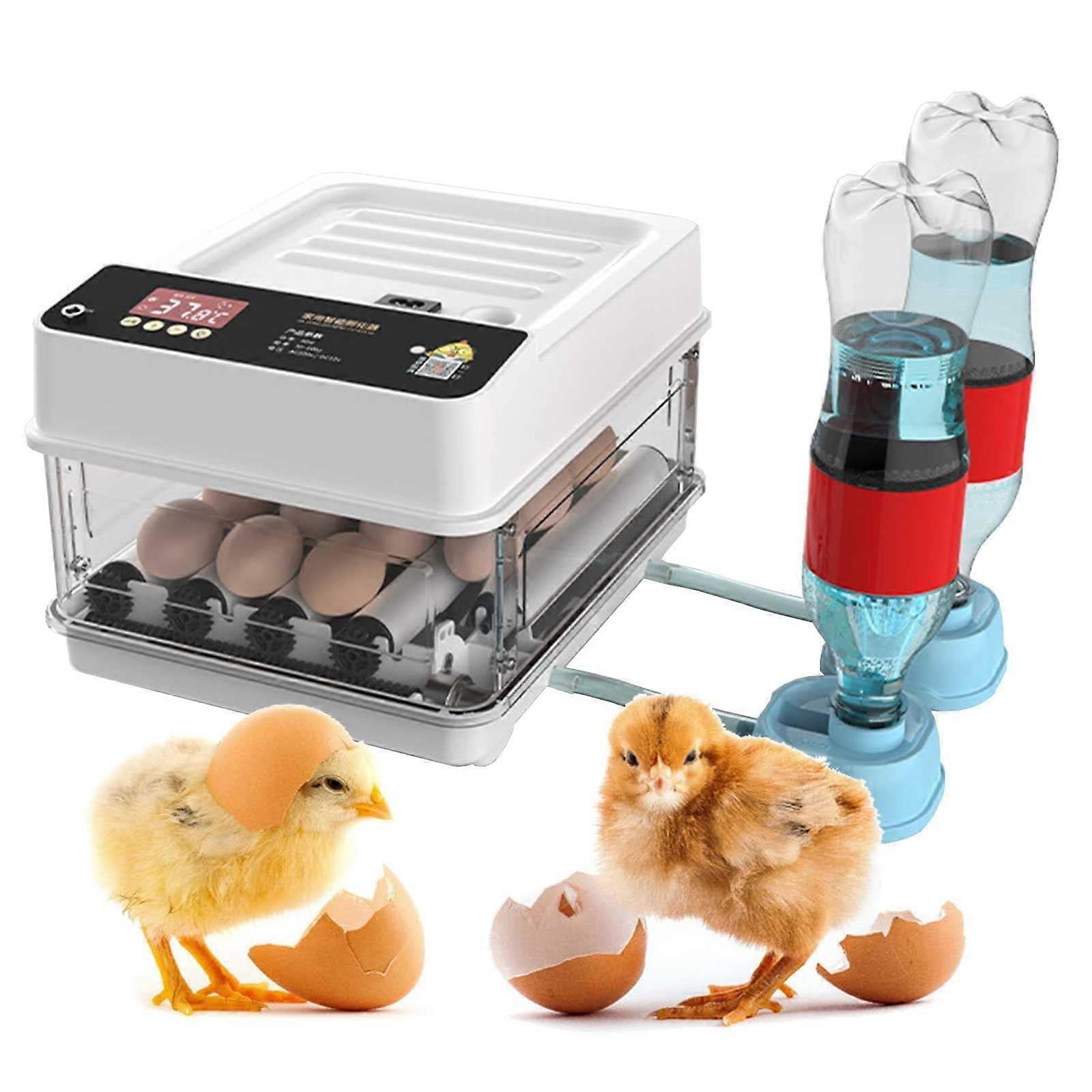 Automatic Egg Incubator with Brooder Box, 12–30 Eggs, Smart Temperature Control, Automatic Egg Turning