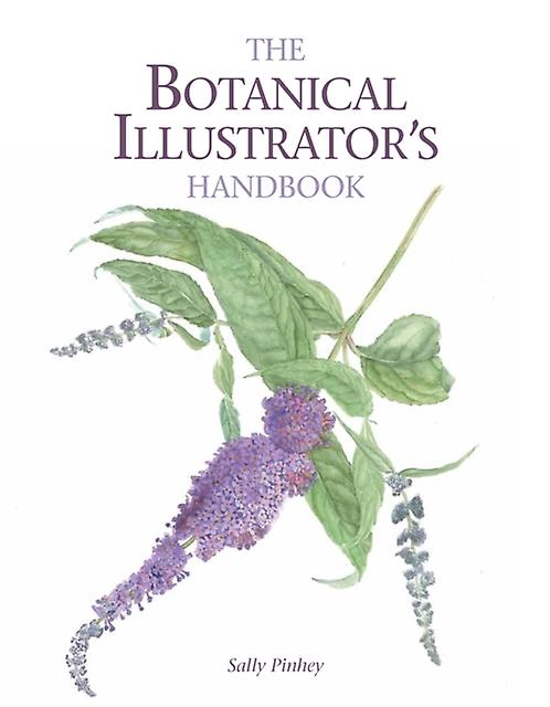 The Botanical Illustrators Handbook by Sally Pinhey Paperback