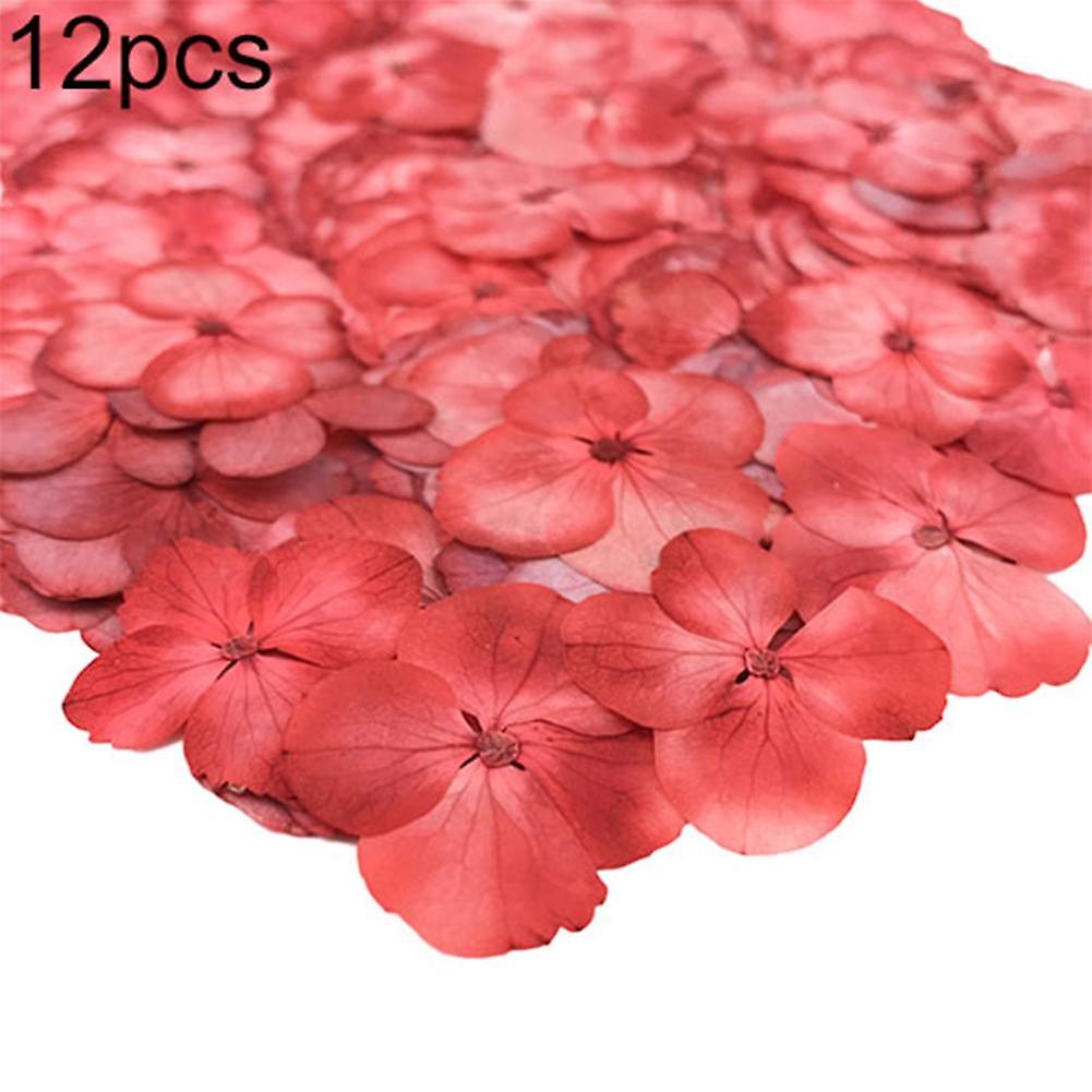 ZHOUBA 12Pcs Pressed Dried Flower Plant Specimen Epoxy Resin Phone Decor DIY Accessory