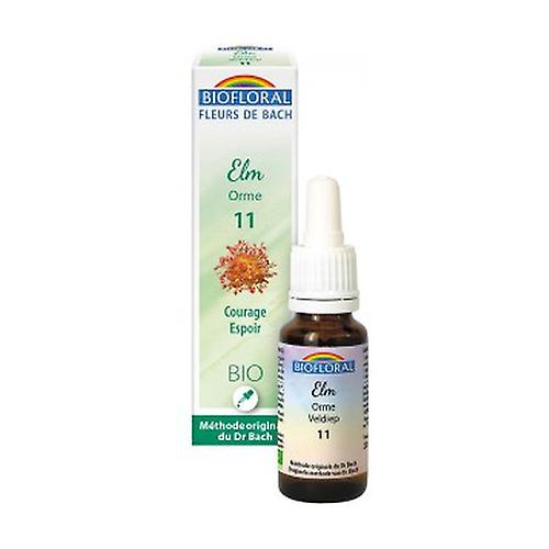 Organic elm 20 ml of floral elixir