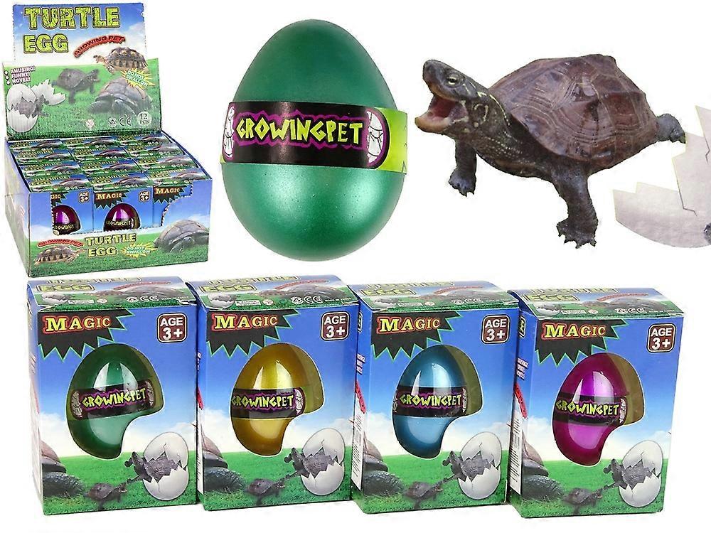 Magic Turtle Egg: Watch & Learn Hatching Fun for Kids!
