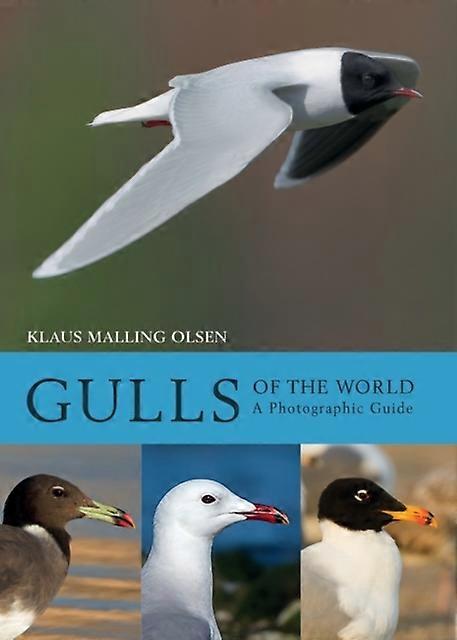 Gulls Of The World by Klaus Malling Olsen Hardback Book
