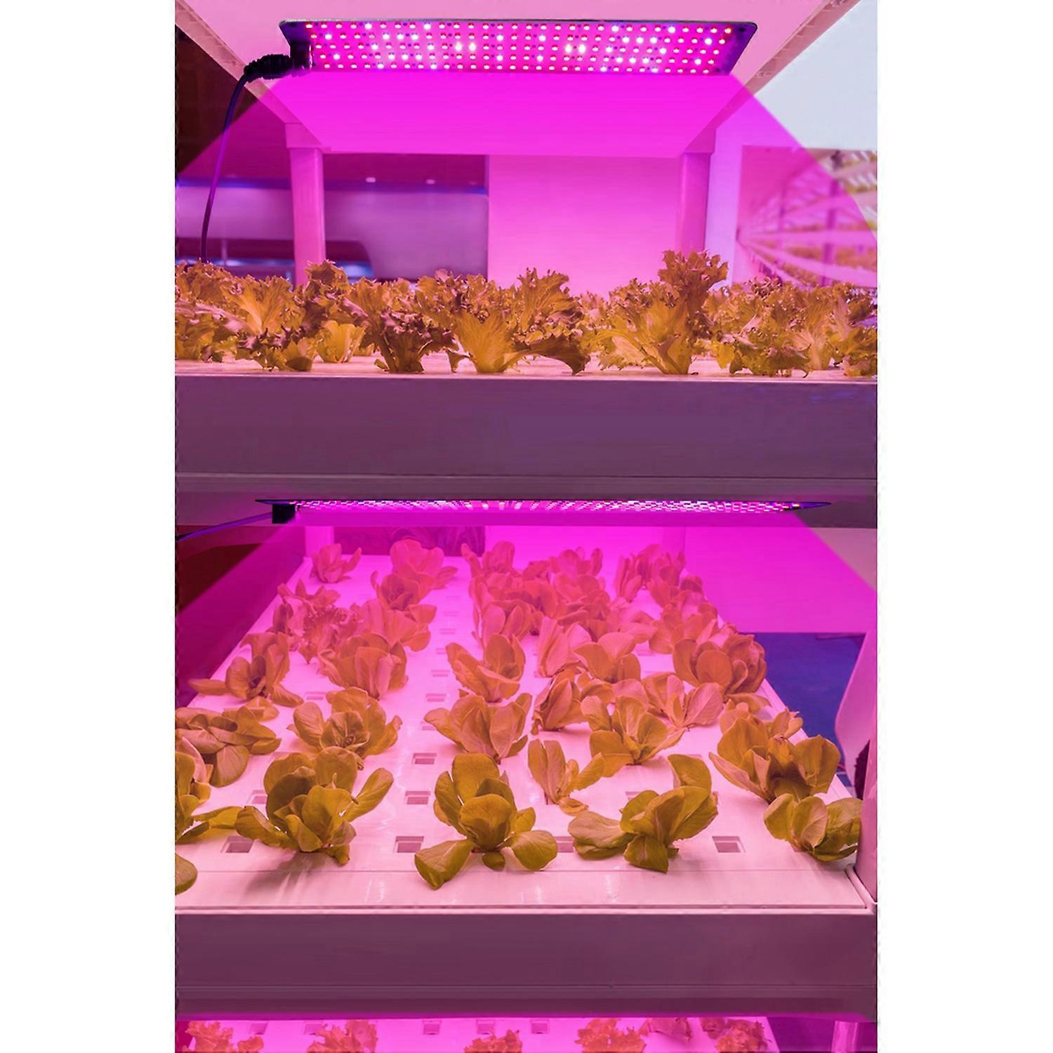 Full Spectrum LED Plant Growth Light Board Supplement Light for Seedlings Veg Bloom Succulents Indoo