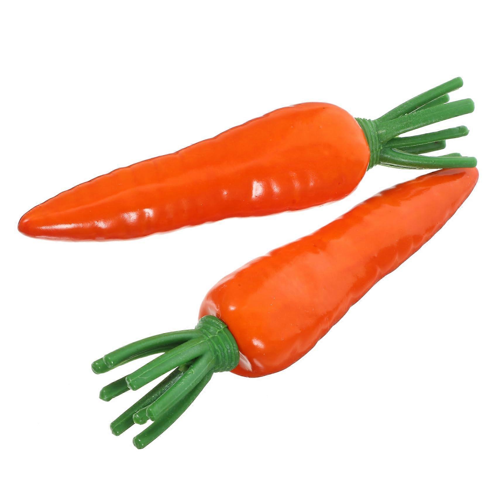 Carrot Photo Props Vegetable Props for Party Favors Presentation Props in Display Case