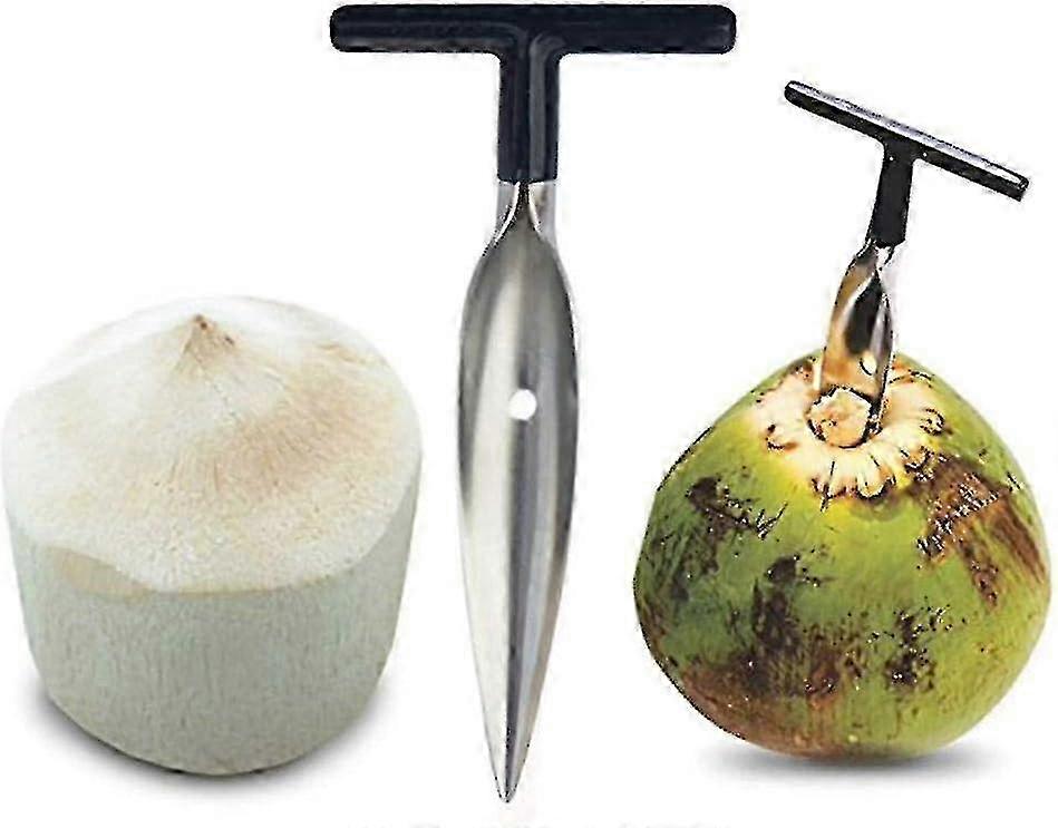 Outil d’ouverture de noix de coco pour l’eau de coco verte fraîche, outil de poinçon de noix de coco en acier inoxydable