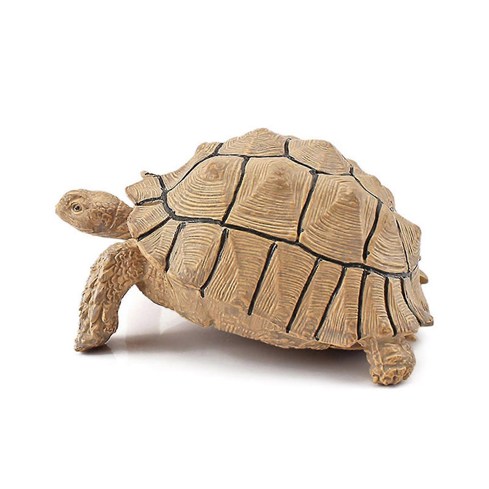 Sulcata Tortoise Mold Vivid Clear Texture 3D Effect Sea Ocean Life Simulation Animal Model for Kids 26s