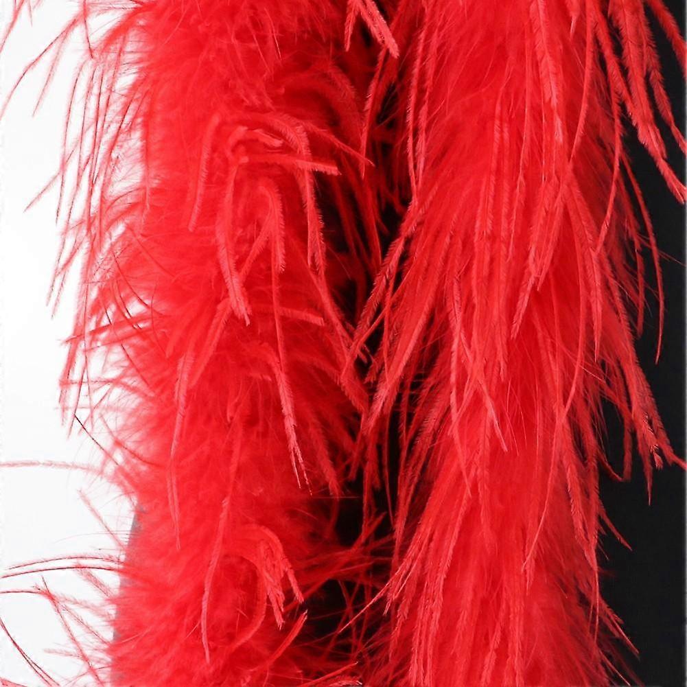 Feather Trim Scarf Add Glamour to Your Outfit with 2M Ostrich Feathers