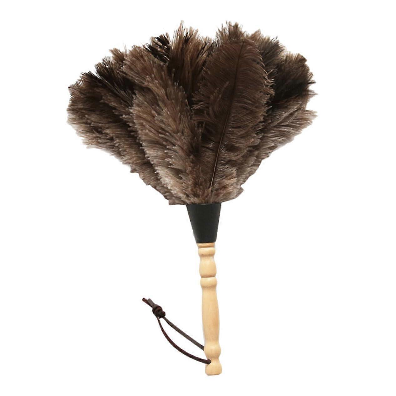 Feather Duster Long Handle for Narrow Spaces and Delicate Surface Cleaning Tool