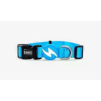 Dashi Solid Sky Blue Small Cat Collar (Cats , Collars, Leads & Harnesses , Collars)