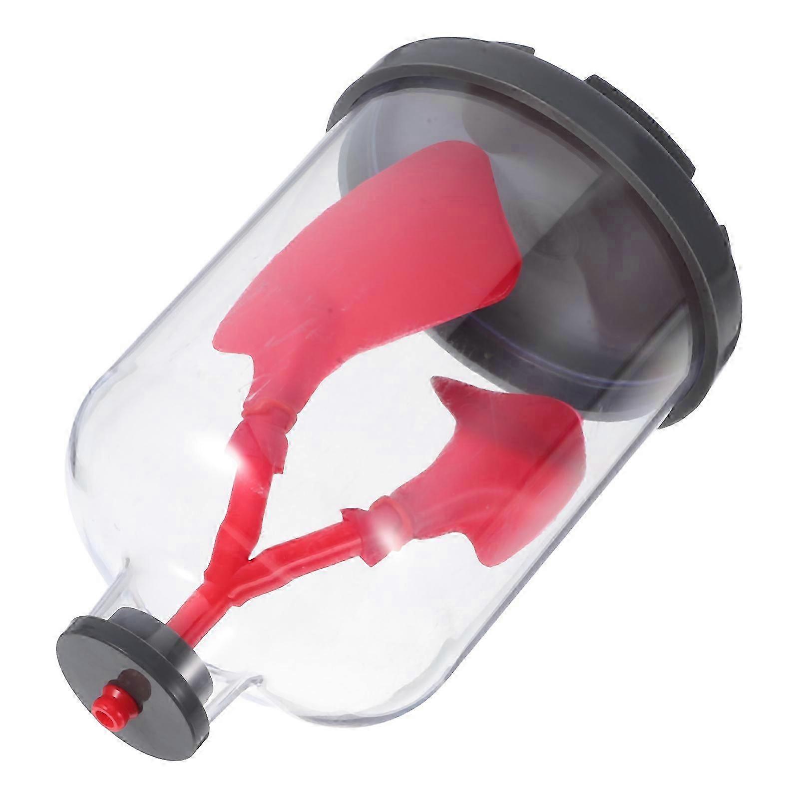 Respiratory Function Lung Function Educational Model for Kids with Breathing