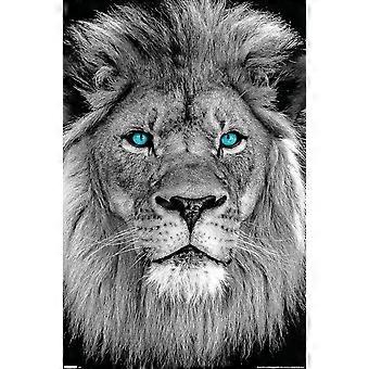 Animals - Blue Eyed Lion Jigsaw Puzzle AD616