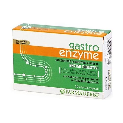Gastro Enzyme digestive enzymes 30 capsules