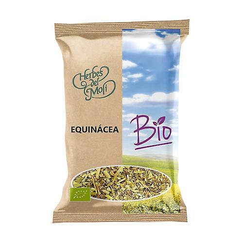 Echinacea root Eco 60 g