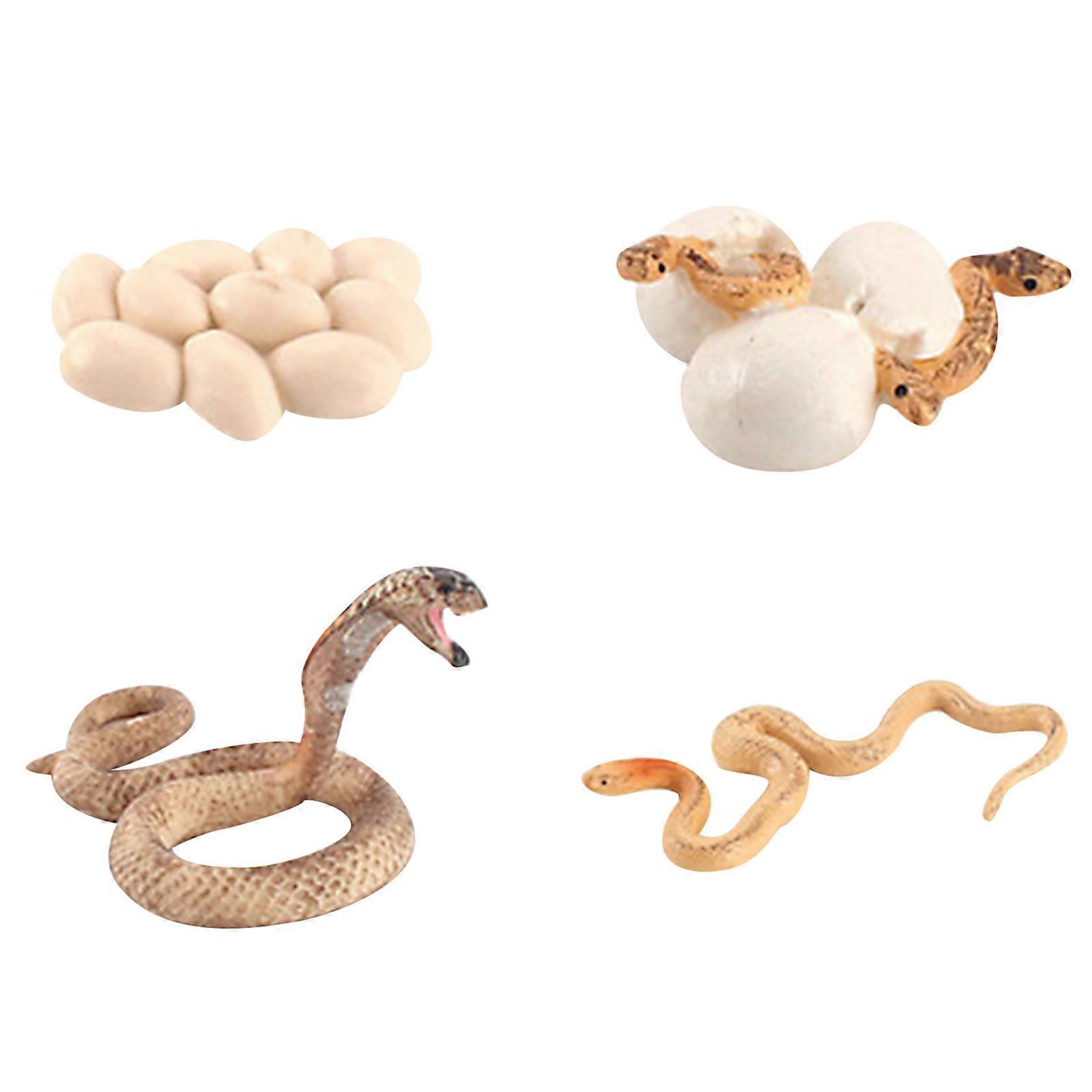 Toys Simulation Snake Growth Life Cycle Playset Educational Classroom Toys_c24070280