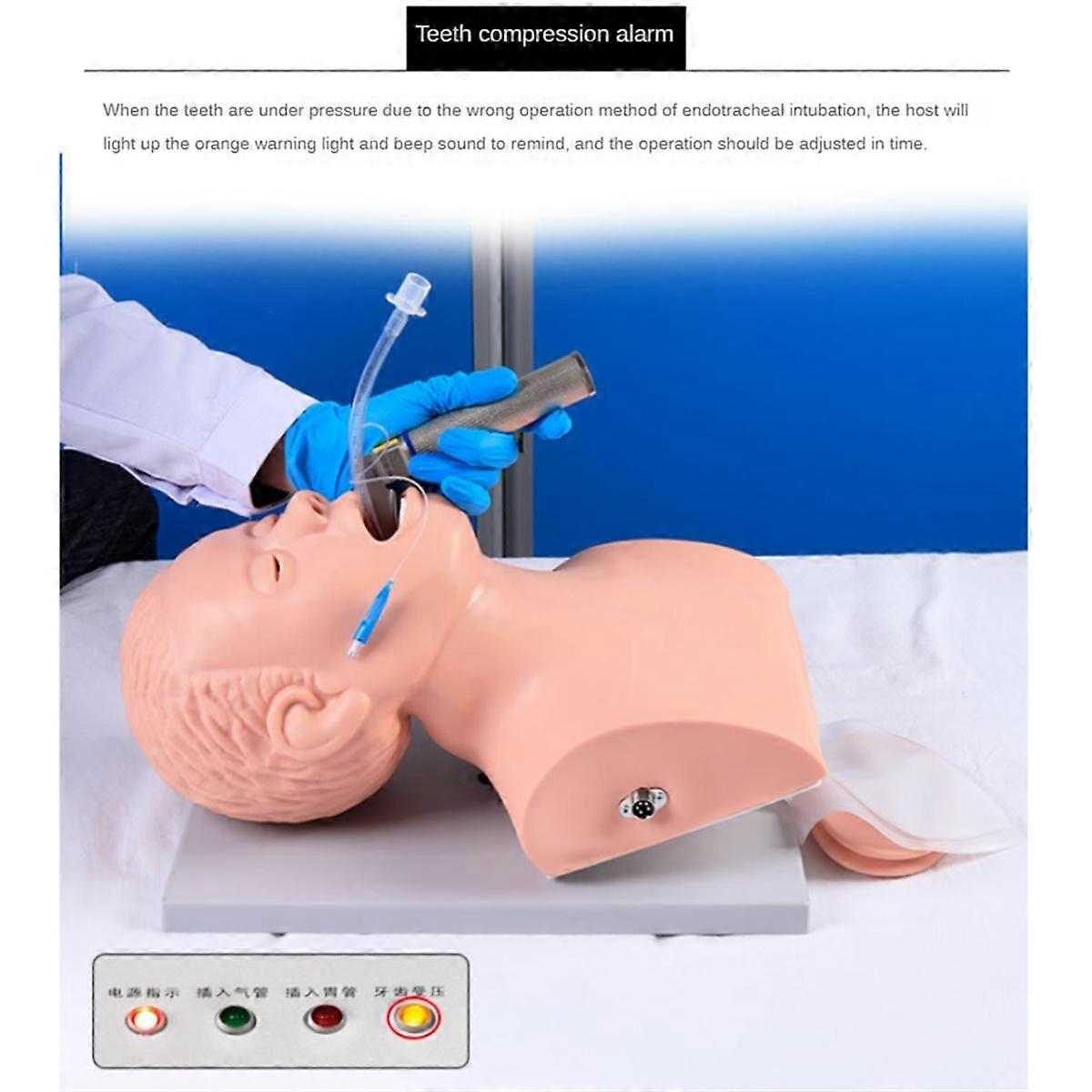 Intubation Model Teaching Model, 110V Adult Airway Management Trainer Tracheal Intubation Training Simulator(US PLUG)