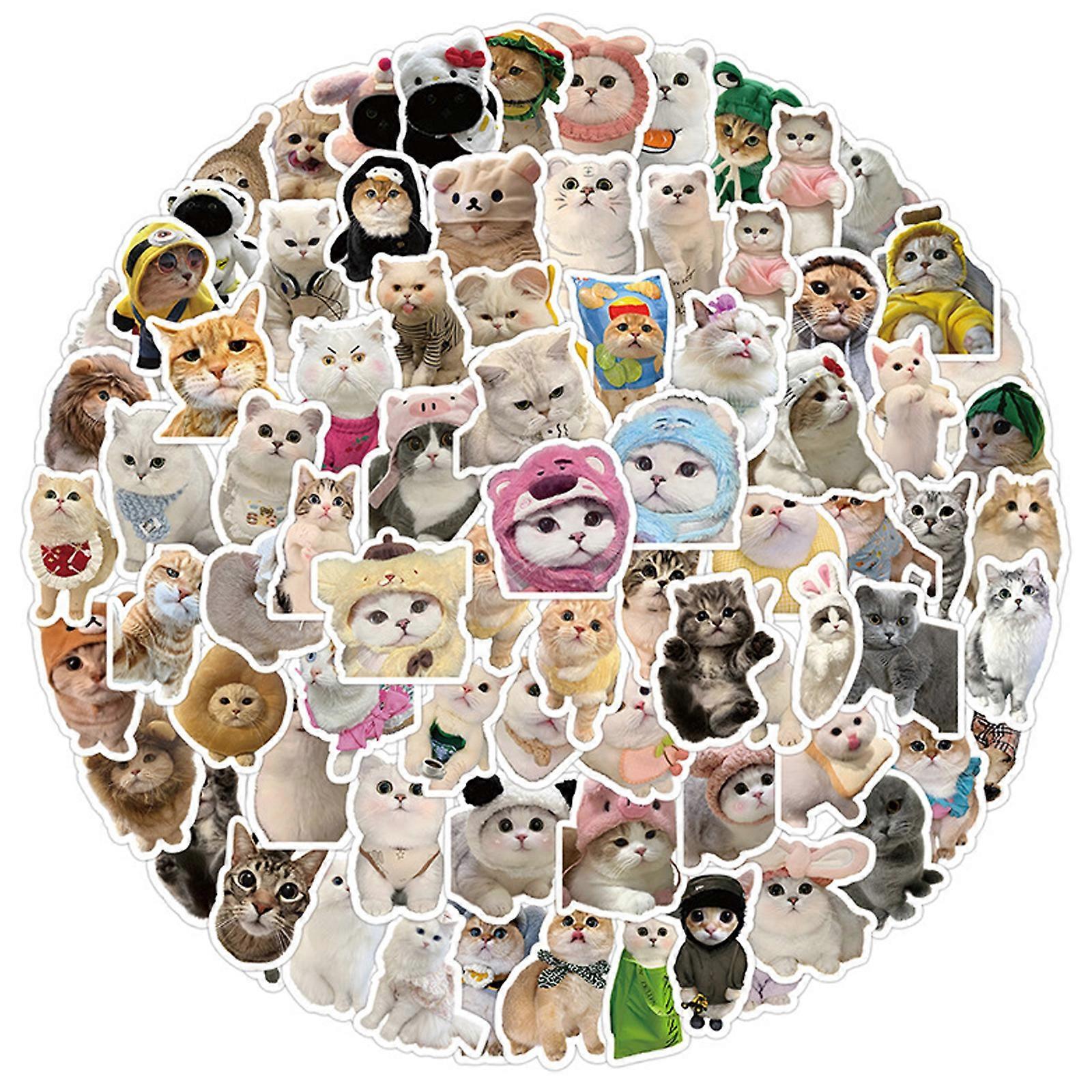 Cute Cat Stickers, Universal Suitability For All Age Groups, Personalized Diy Projects With Waterproof High Quality Vinyl, Perfect Gift For