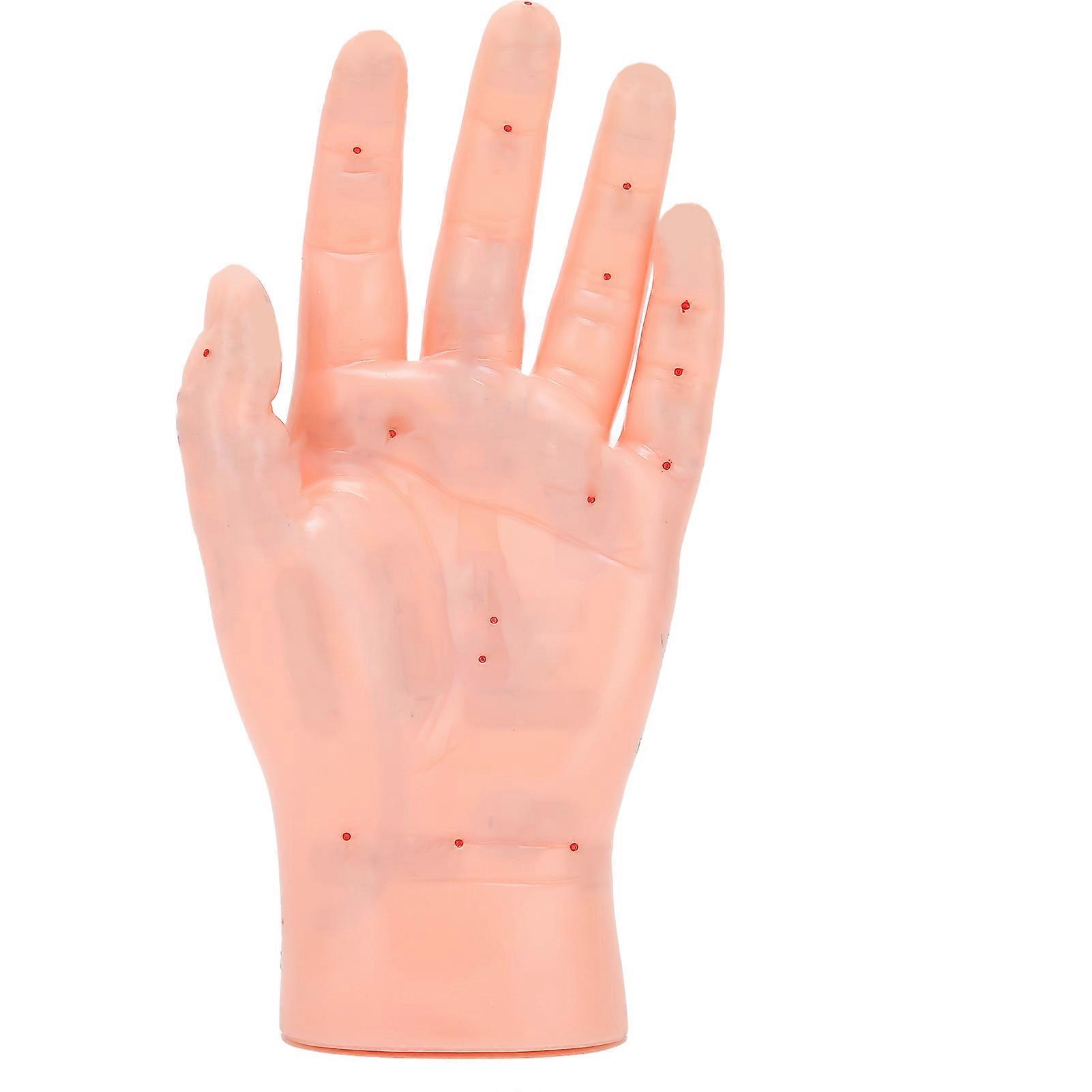 Left Hand Acupuncture Point Model Hand Acupoint Massage Reflection Area Teaching Model