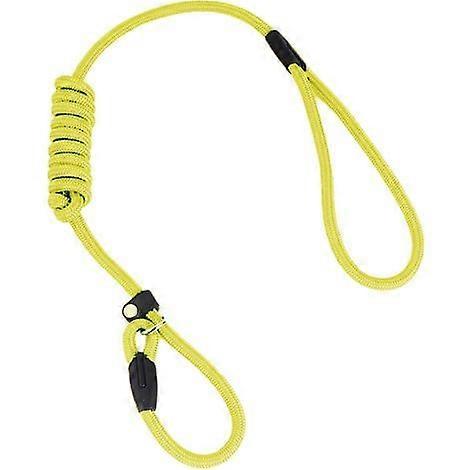 Dog Leash, Nylon Rope Leash, Dog Training Leash