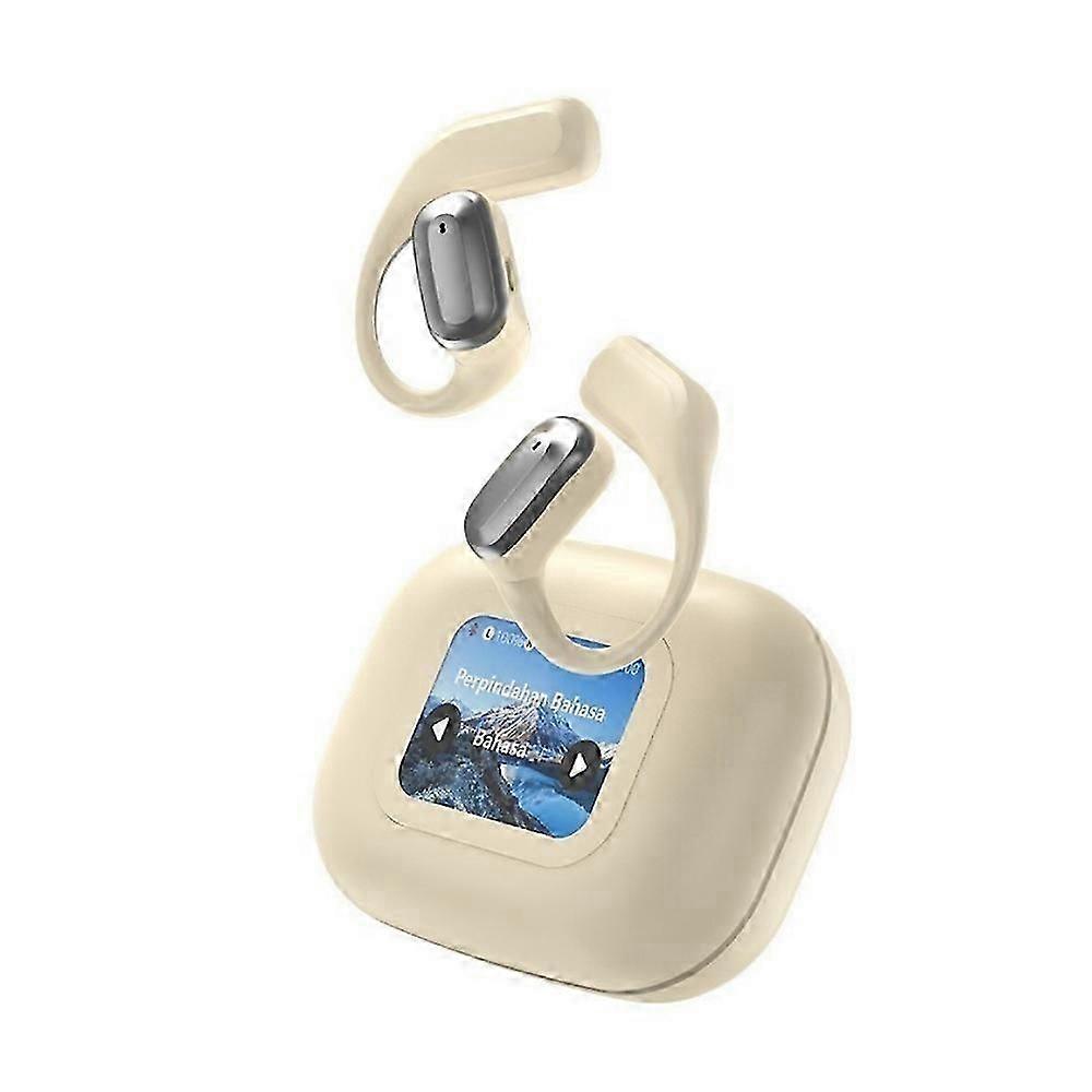 Wireless Bluetooth Translator Earbuds