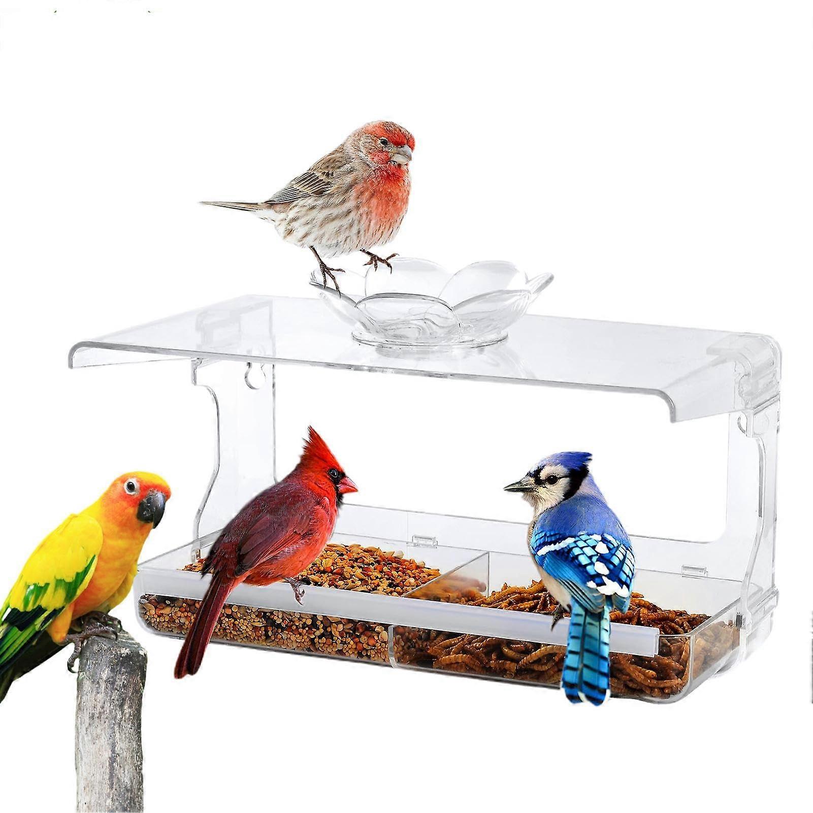 Window Bird Feeder Clear Acrylic Squirrel Proof Large Capacity with Suction Cups for Wild Birds