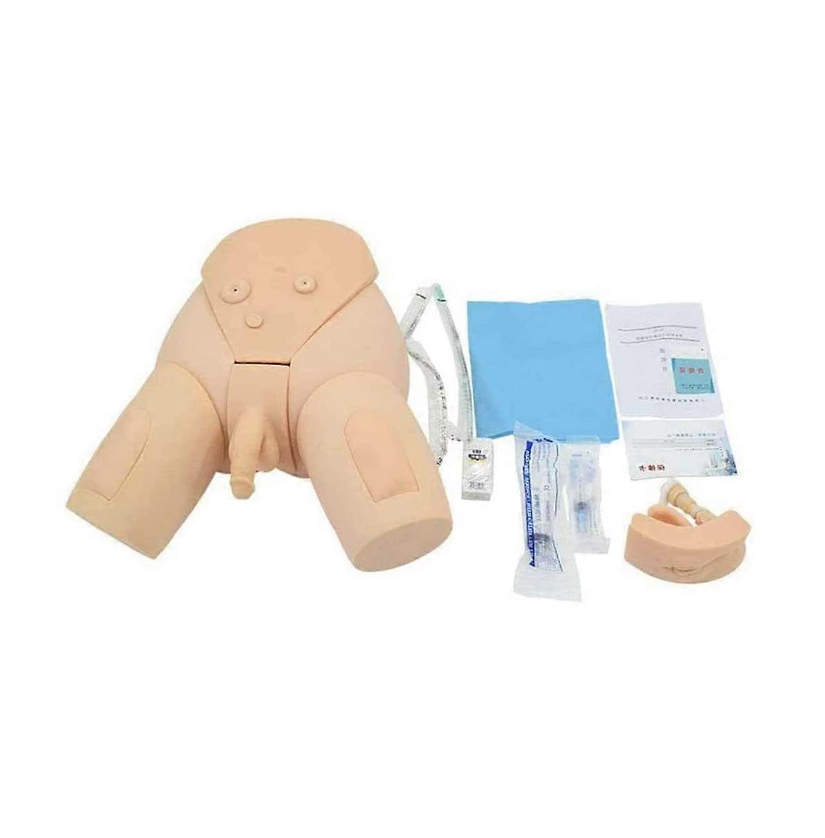 Catheterization Training Model with Interchangeable Male Female Modules for Nursing Skills Practice