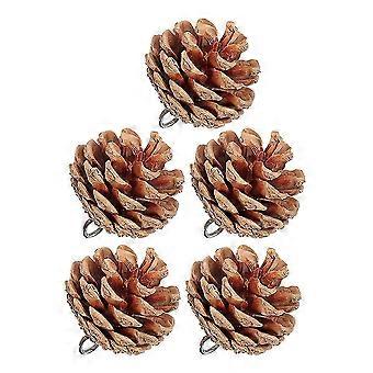 Jouets à mâcher pour perroquets, pommes de pin naturelles, 20 pièces.